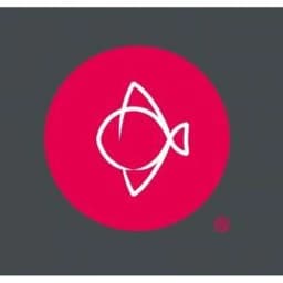 Logo Matsuri
